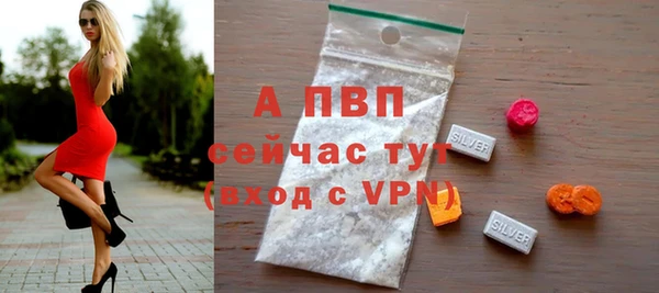 сатива Белокуриха