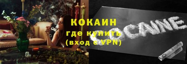 сатива Белокуриха