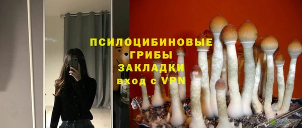 сатива Белокуриха