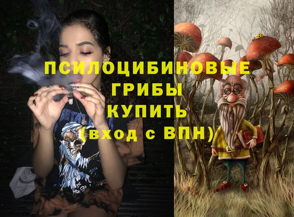 сатива Белокуриха