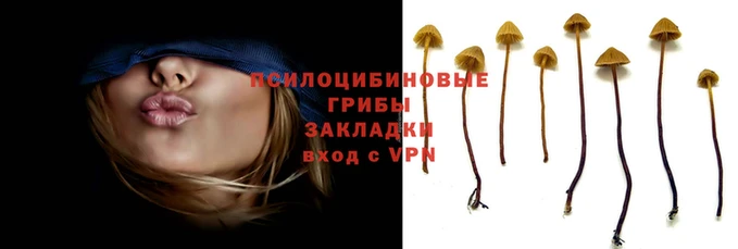 сатива Белокуриха