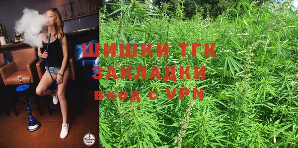 сатива Белокуриха