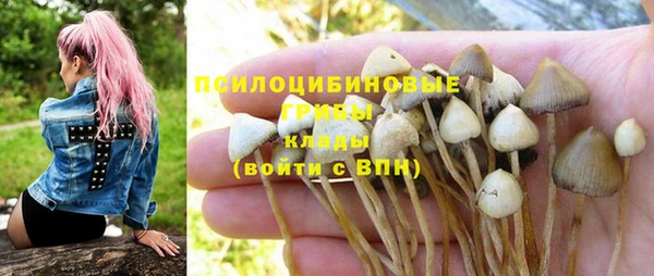 каннабис Беломорск