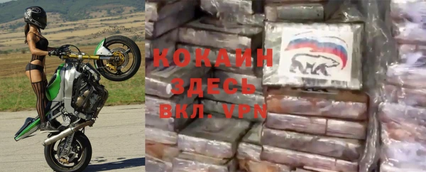 сатива Белокуриха